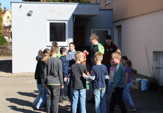 IMG 2644